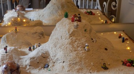 OLYMPUS DIGITAL CAMERA